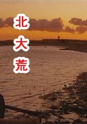 全集在线观看