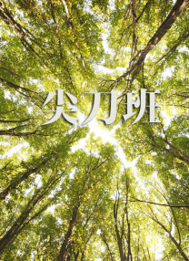 蓝光原盘在线观看