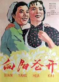 HD未删减电影