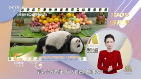 1080HD手机在线观看