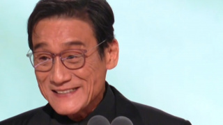 手机免费播放